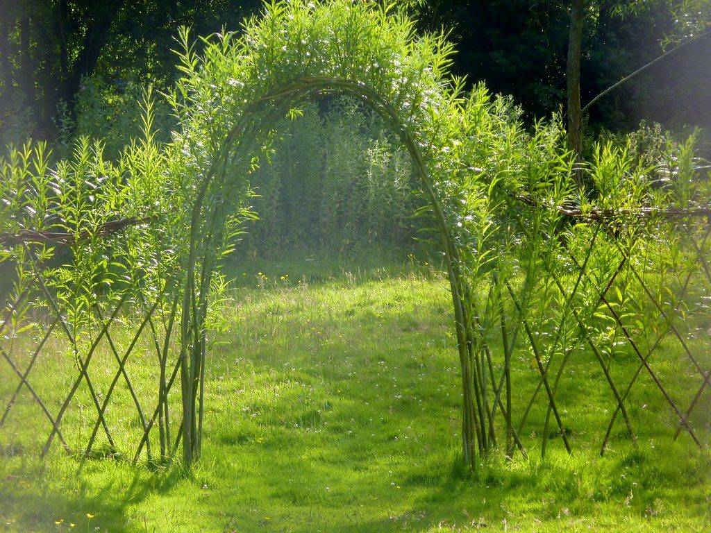 Yard Garden Arch