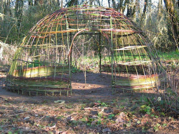 A Living Willow Shelter