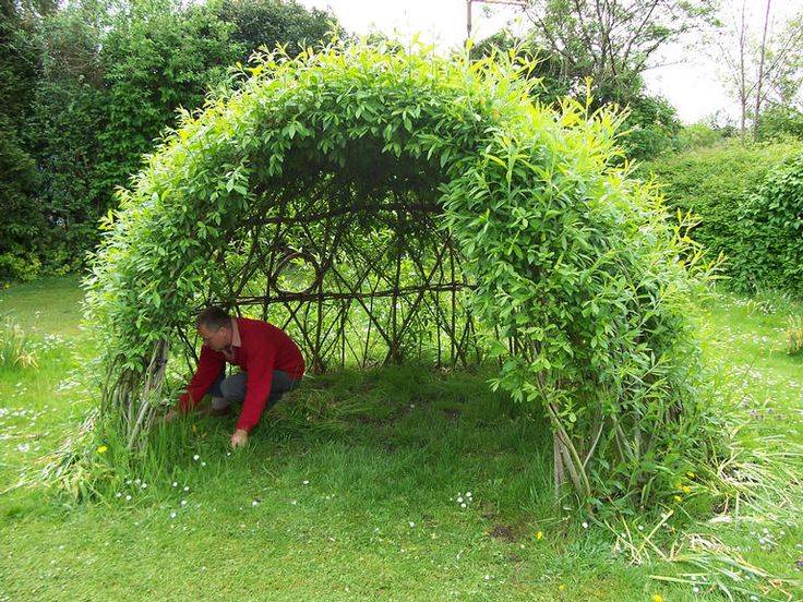 Living Outdoor Willow Structures