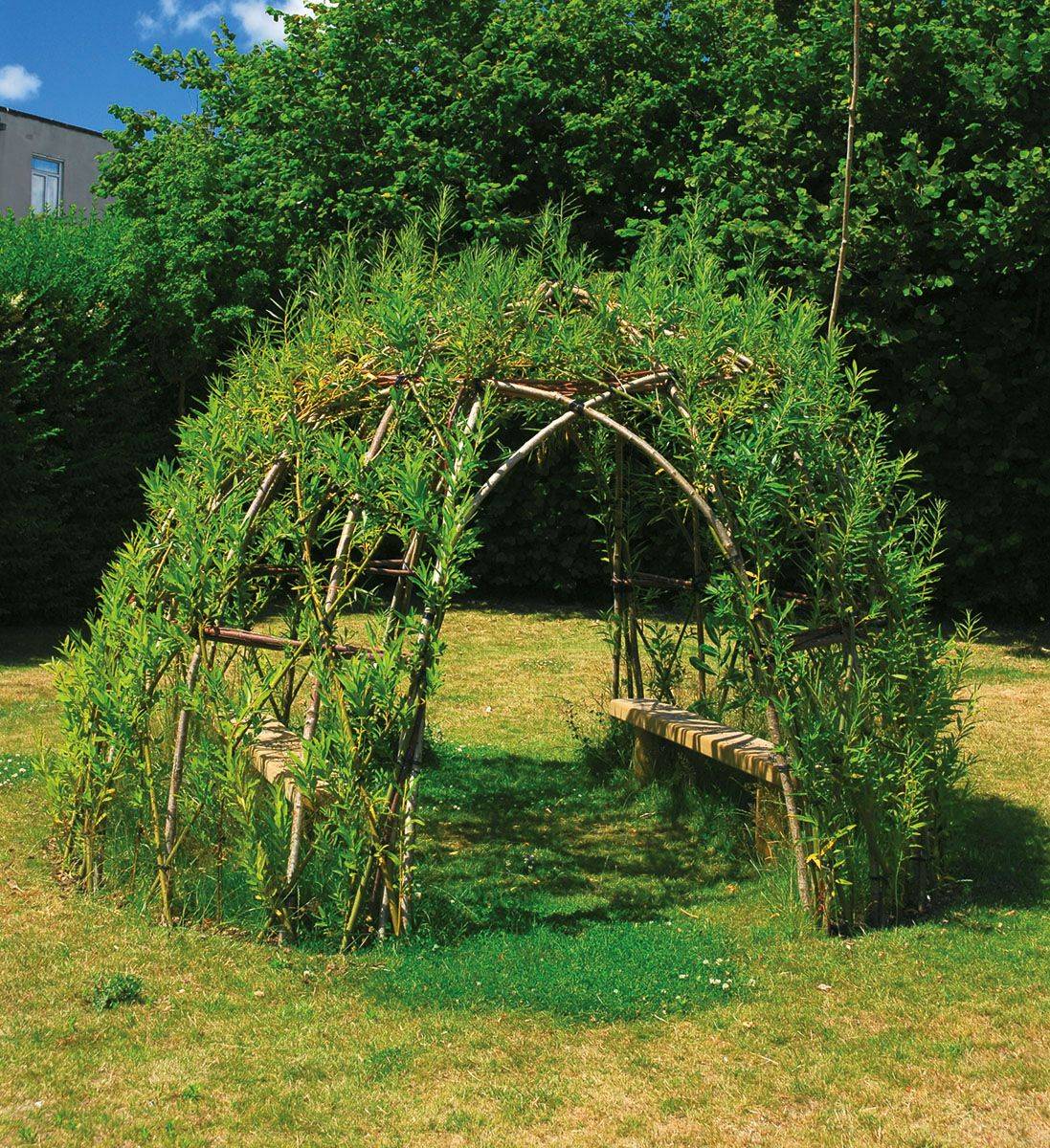 Living Outdoor Willow Structures