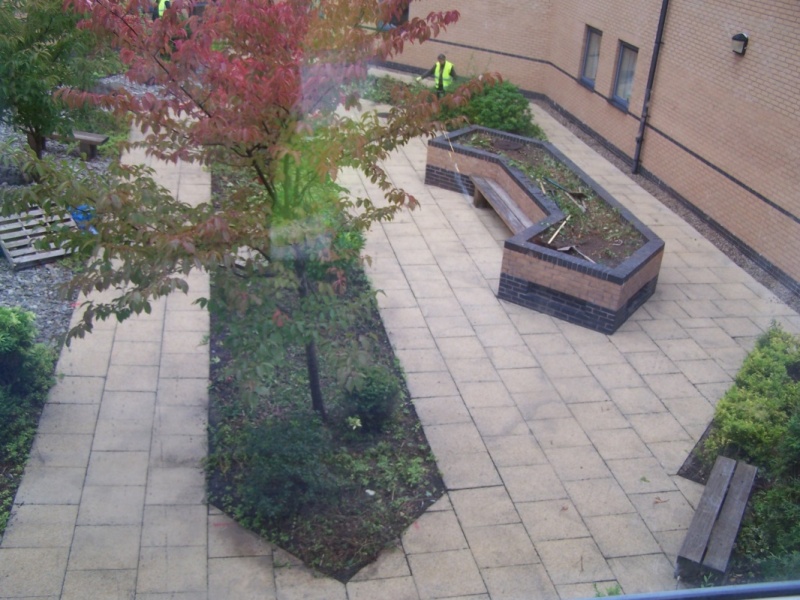 Best Dementia And Sensory Gardens Images