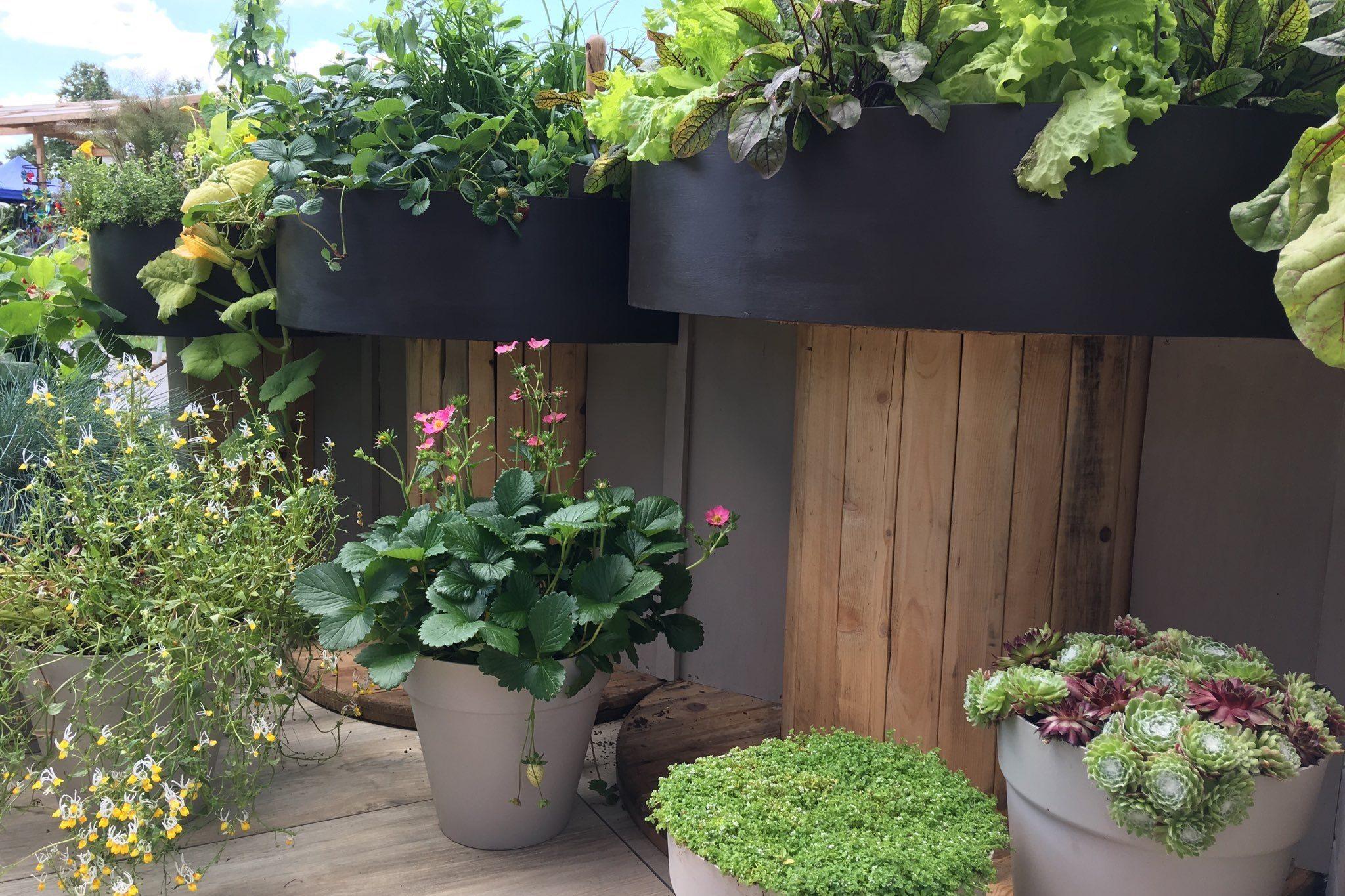 Google Search Sensory Garden