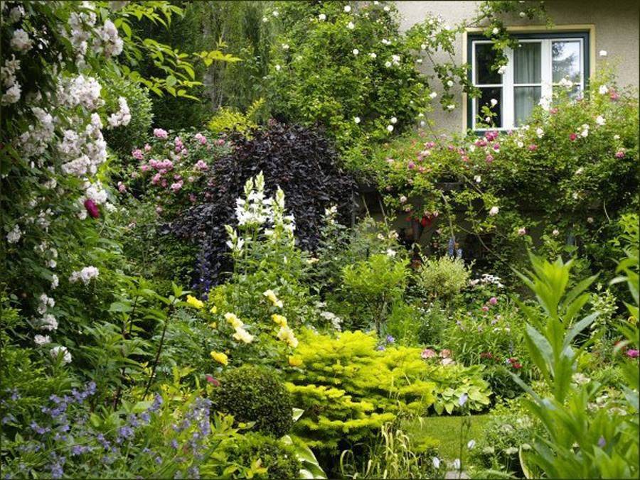 Green And White Garden Ideas
