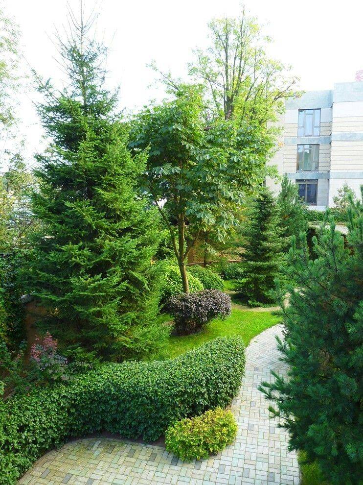 Vertical Garden Ideas