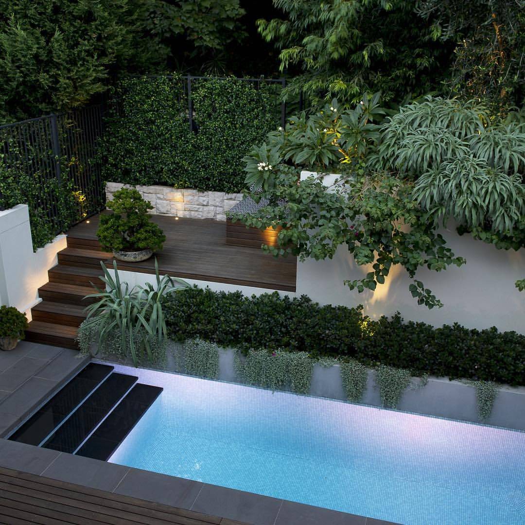 Urban Gardening Ideas
