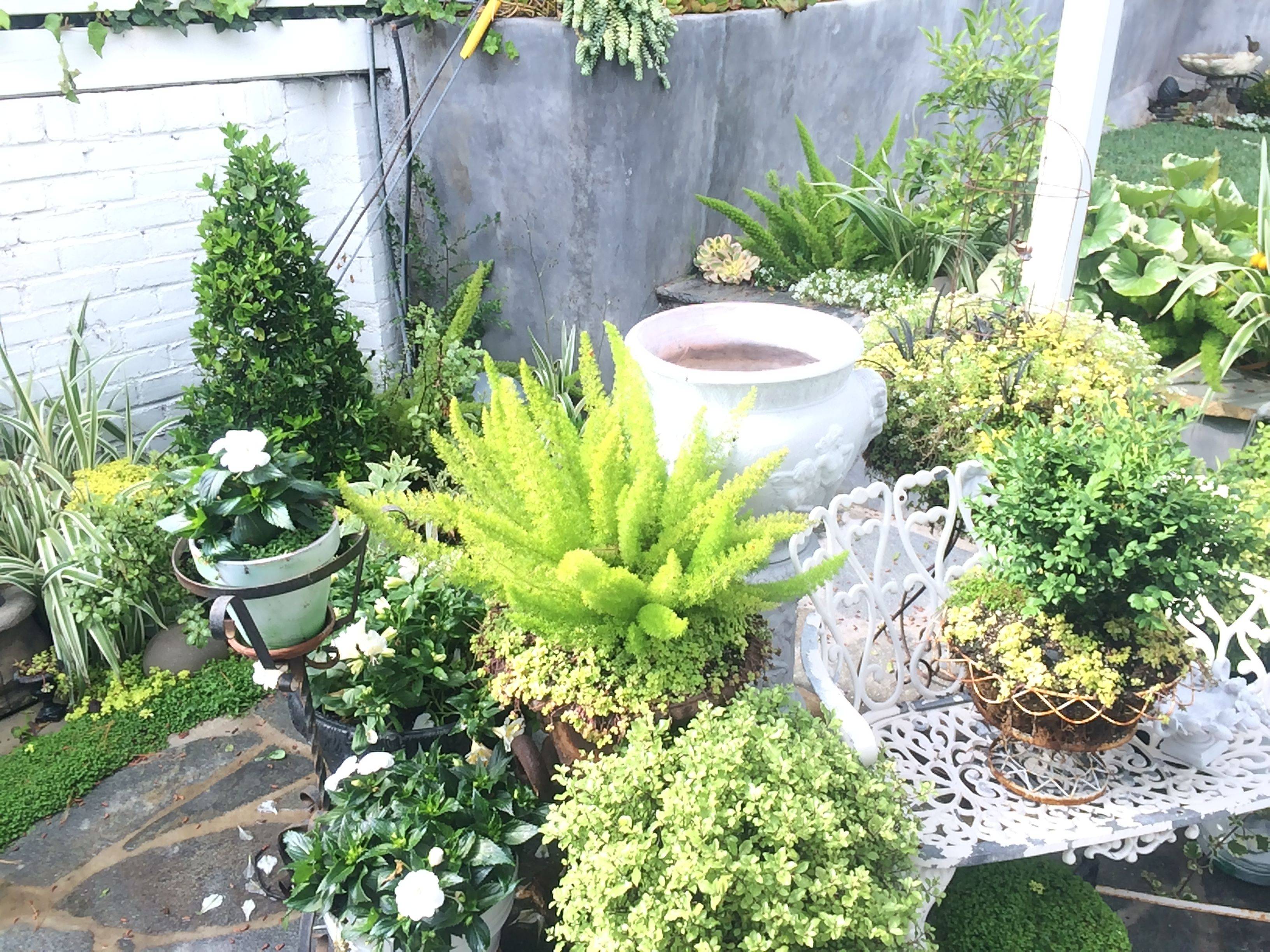 Small Spaces Green Living Ideas