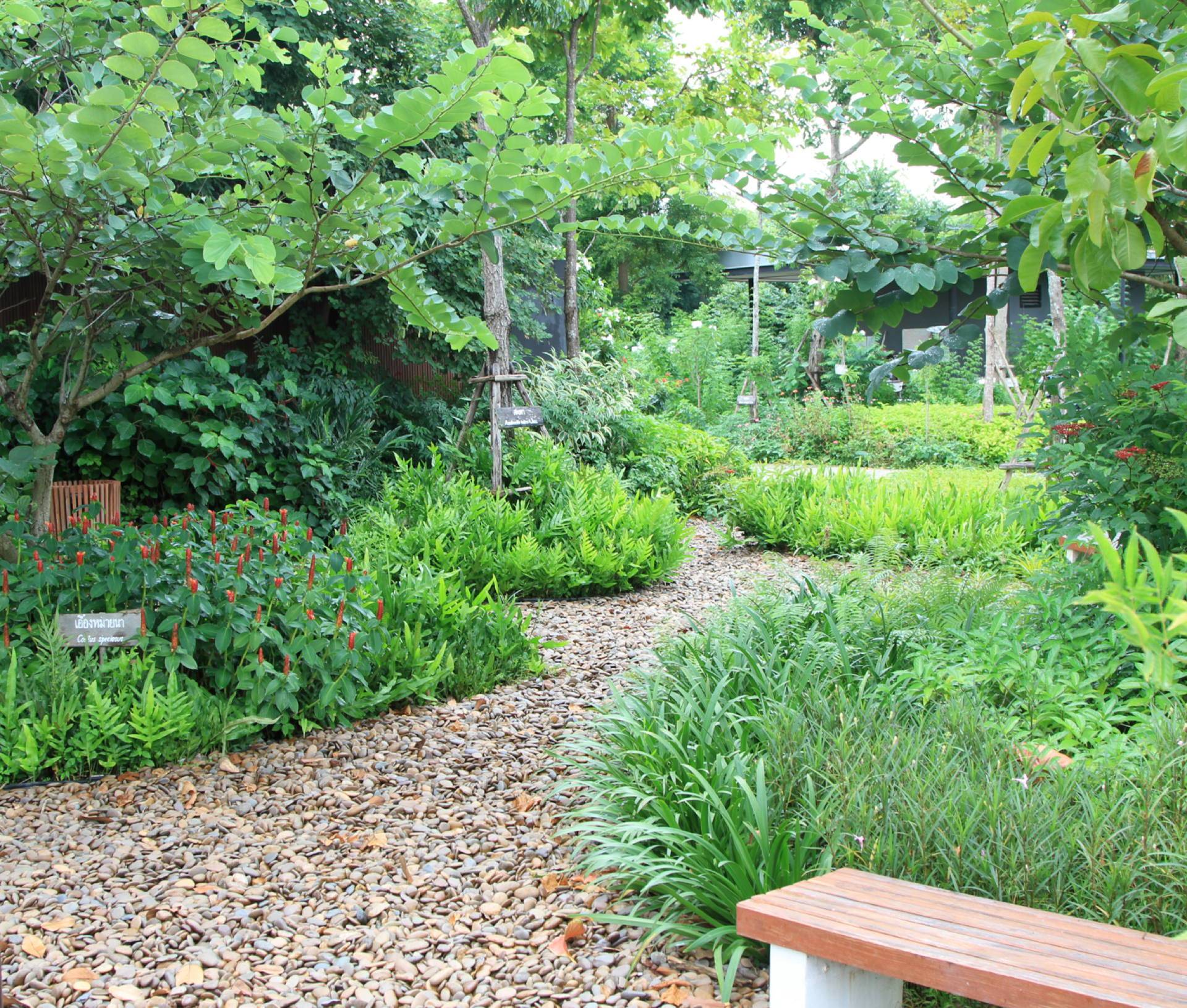 Simple Landscaping Ideas