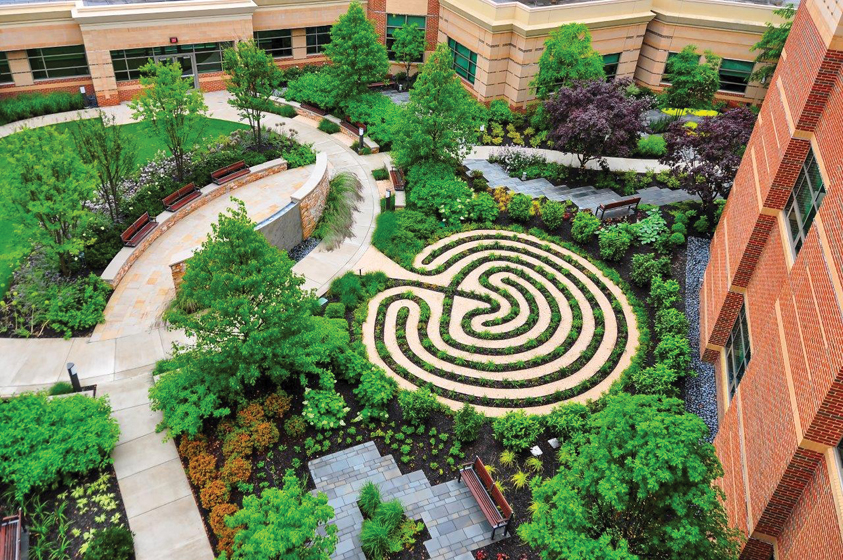 Therapeutic Landscape Design