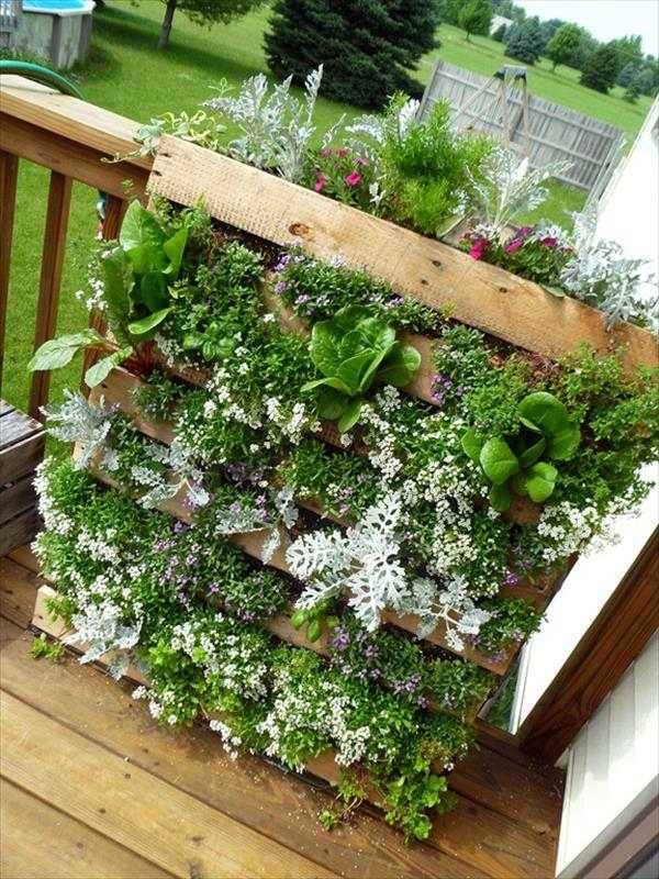 A Vertical Garden