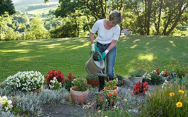 Activgardens Outdoor Community Resource