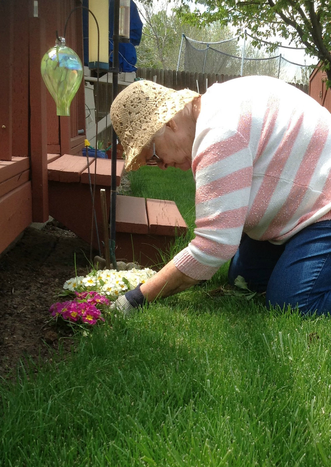 Sensory Garden