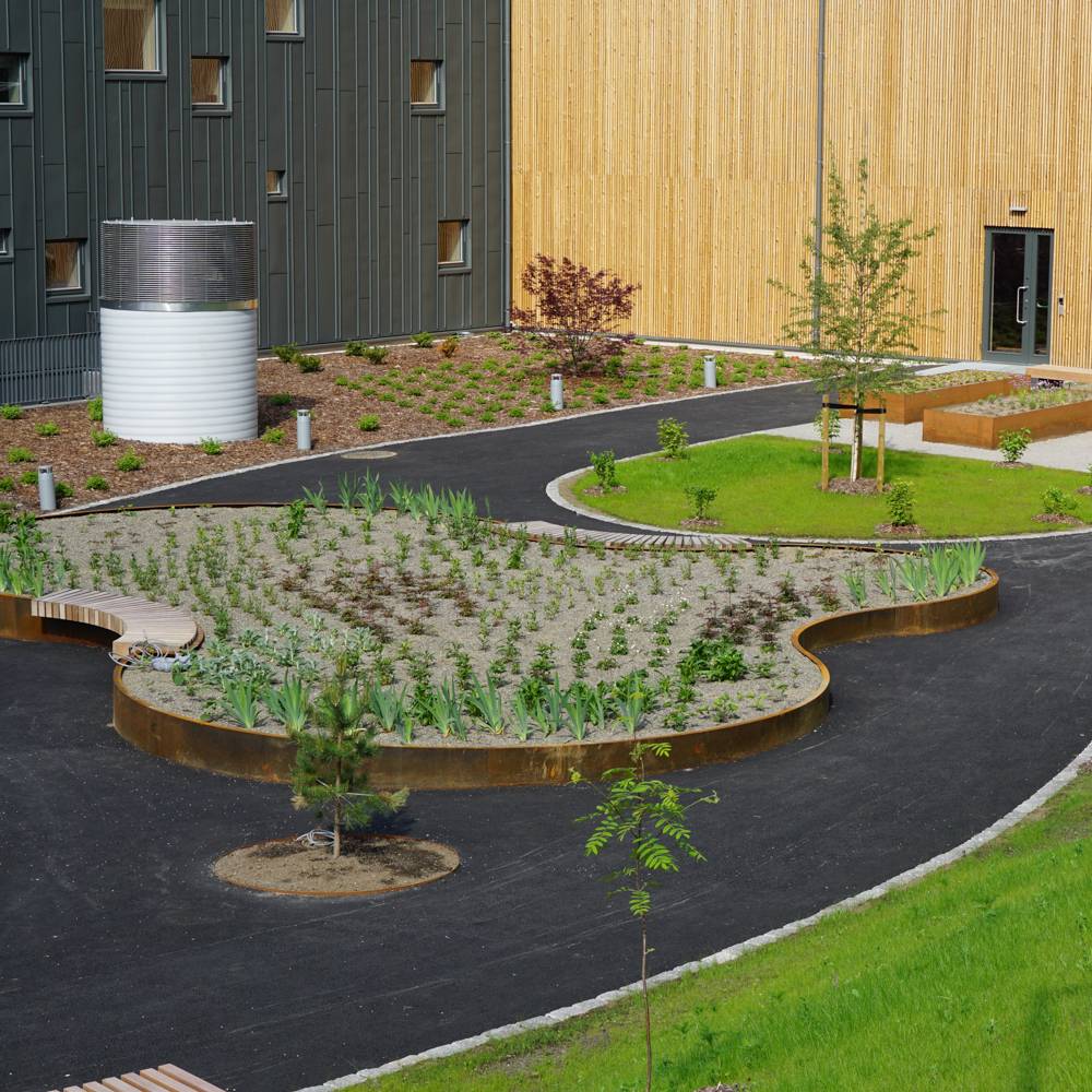 Raised Beds