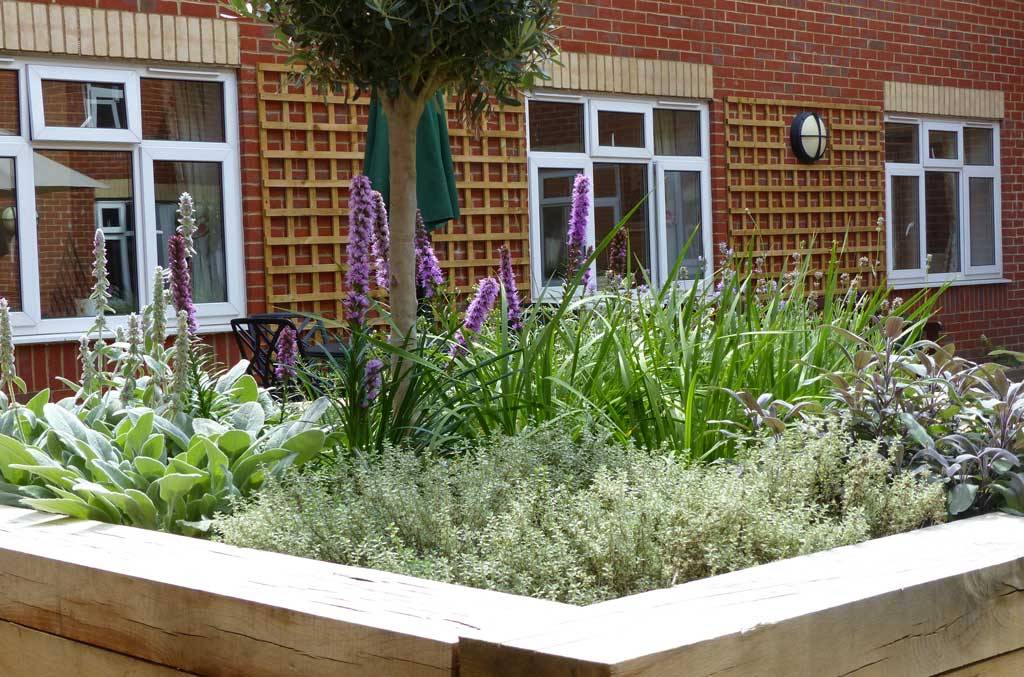 Sensory Garden New Leaf Design