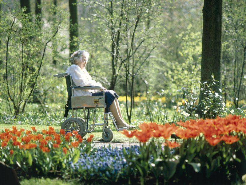 Alzheimers Australia Memory Garden Design