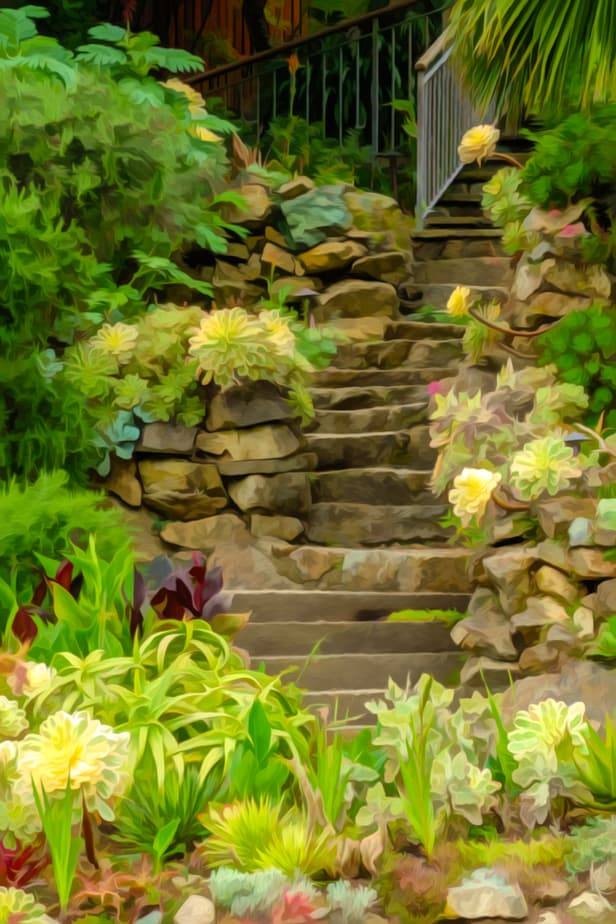 Alternative Eden Exotic Garden