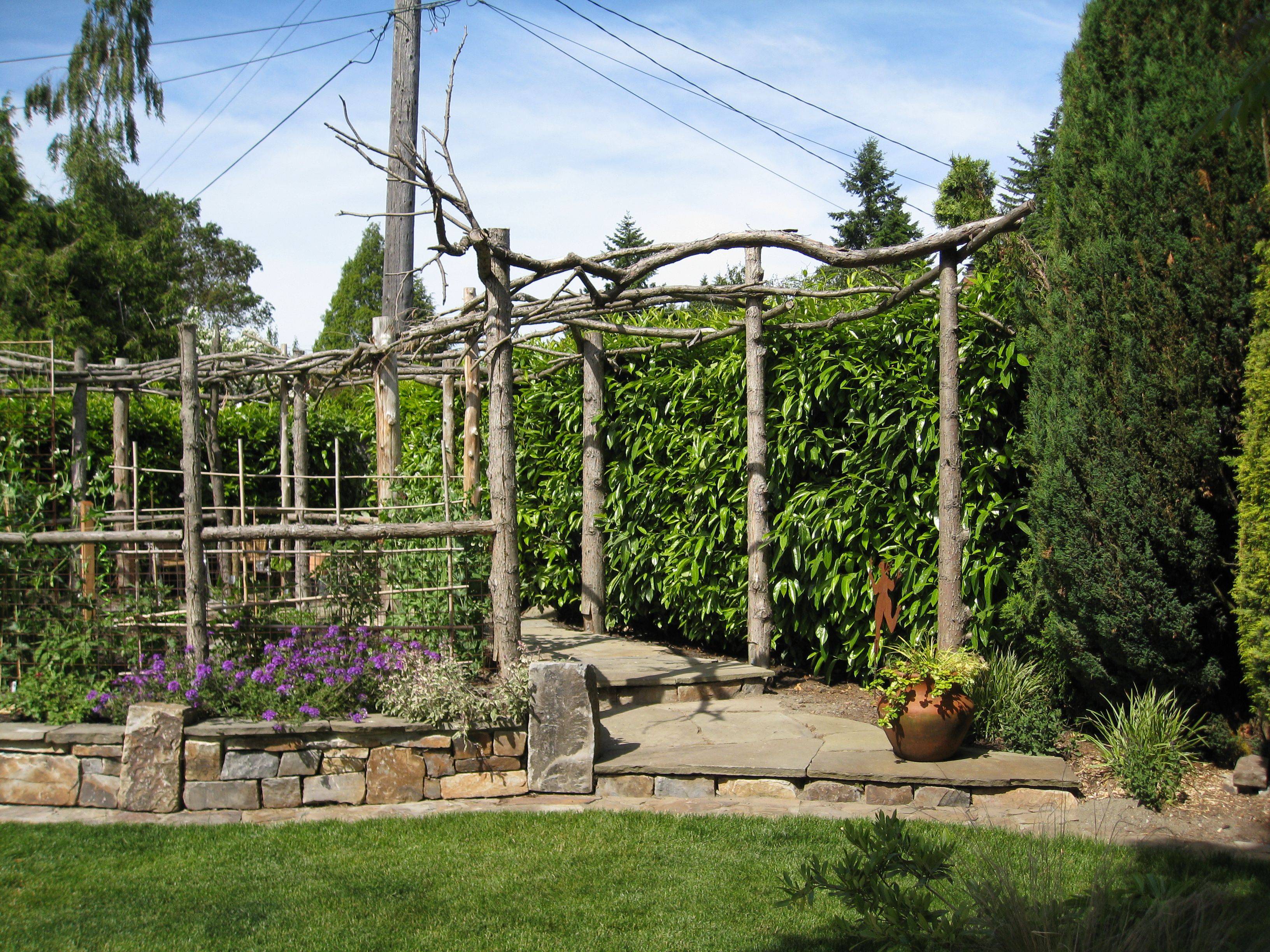 22 Twig Garden Arch Ideas You Must Look SharonSable