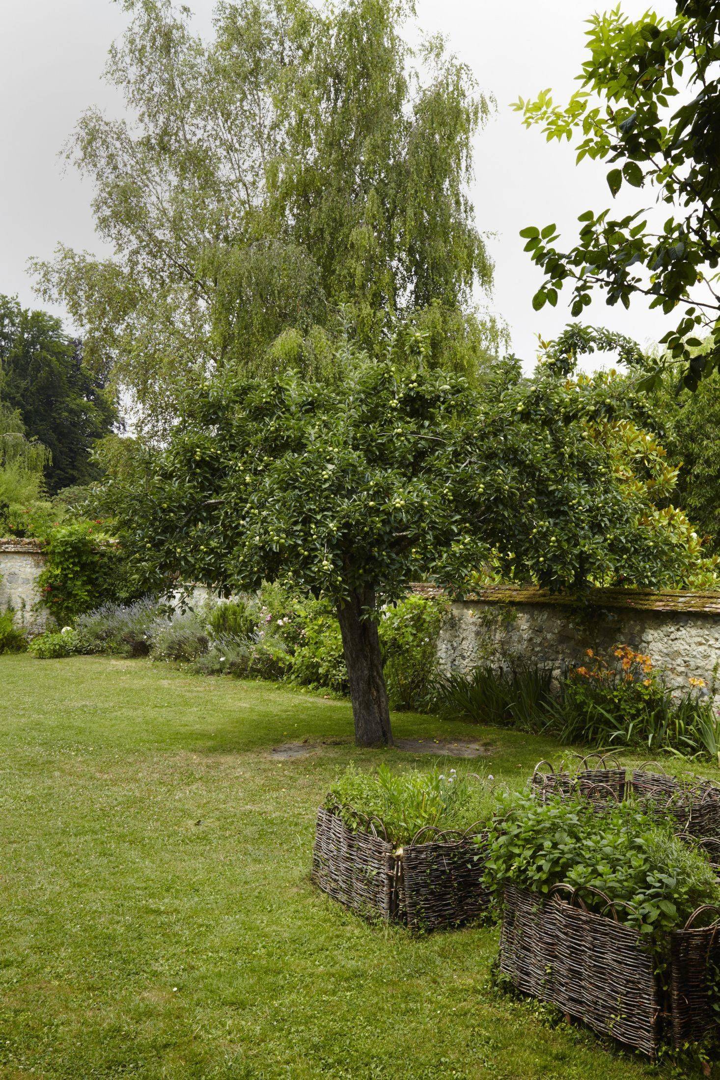 Vegetable Garden