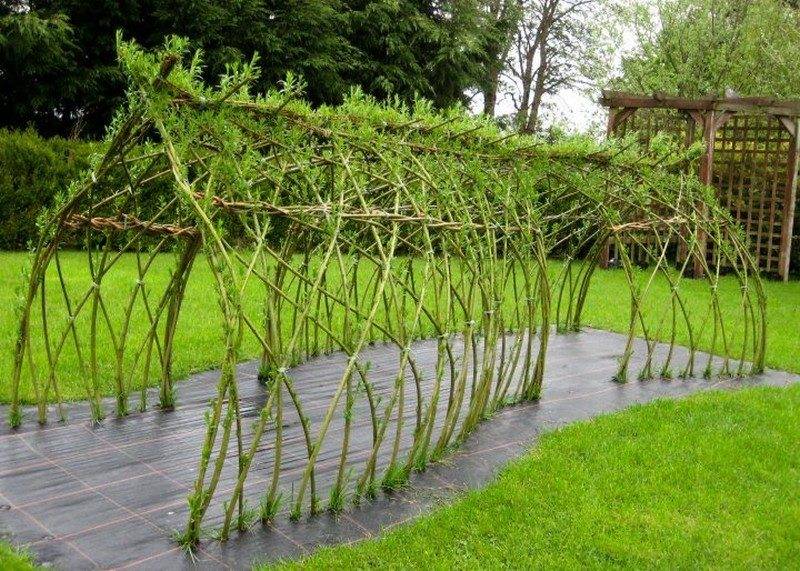 Living Willow Structures Dome Teepee Willow Suppliers