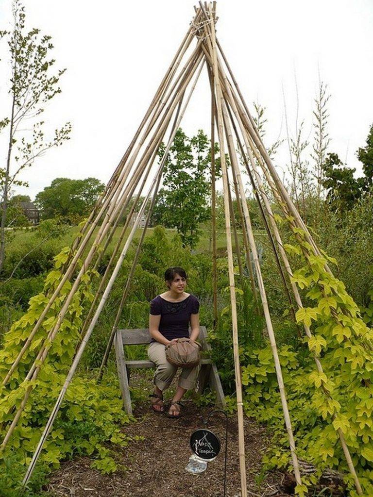 Living Outdoor Willow Structures