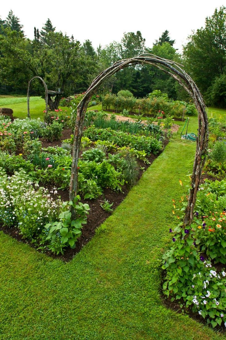 Rose Arch Probably The Most Versatile Structure