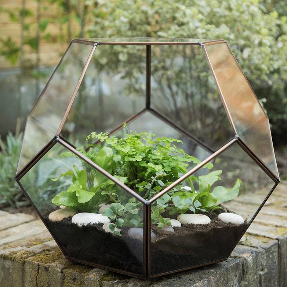 Kitchen Herb Garden Kit