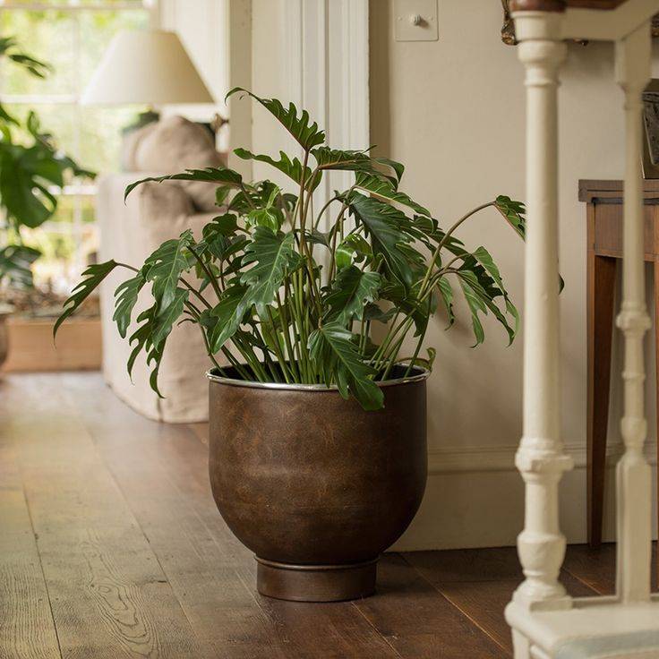 19 Waitrose Garden Ideas To Consider SharonSable