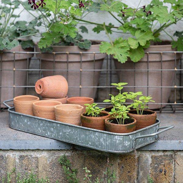 19 Waitrose Garden Ideas To Consider SharonSable
