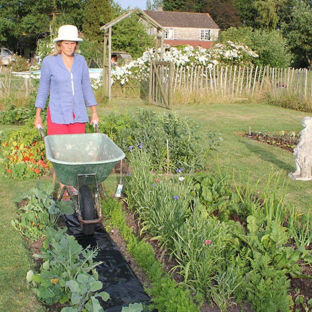 19 Waitrose Garden Ideas To Consider SharonSable