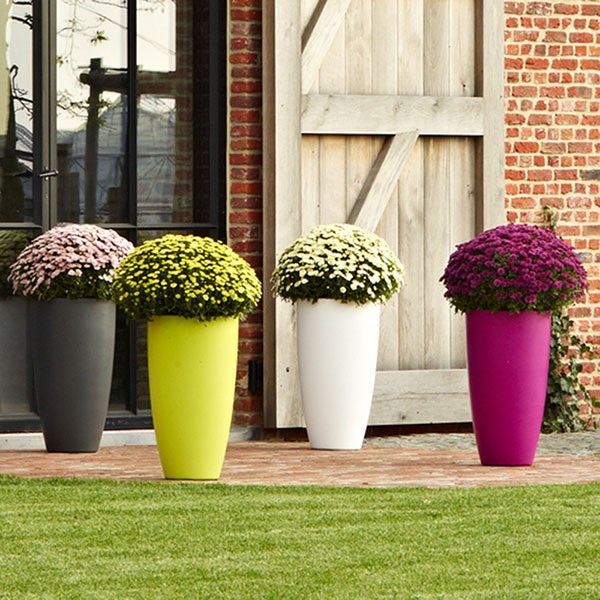 Wonderwall Vertical Planting Starter Kit