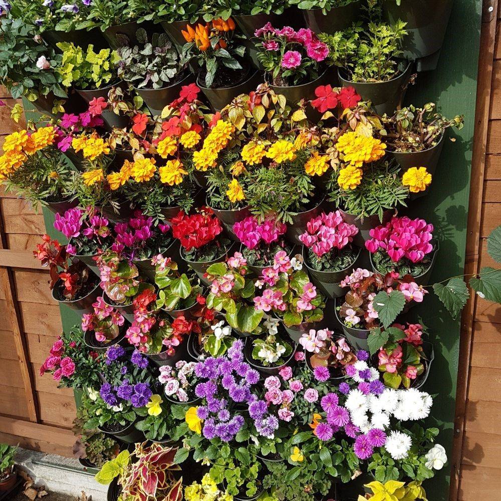 These Vegetable Beds