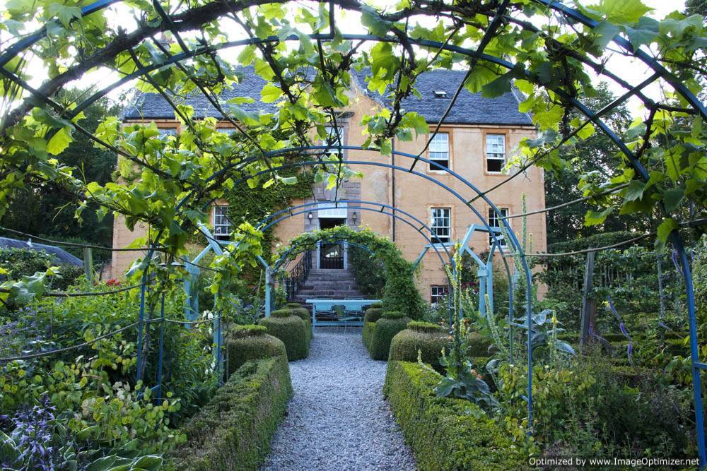 Garlic Basketsbird Feeders Willow Weaving