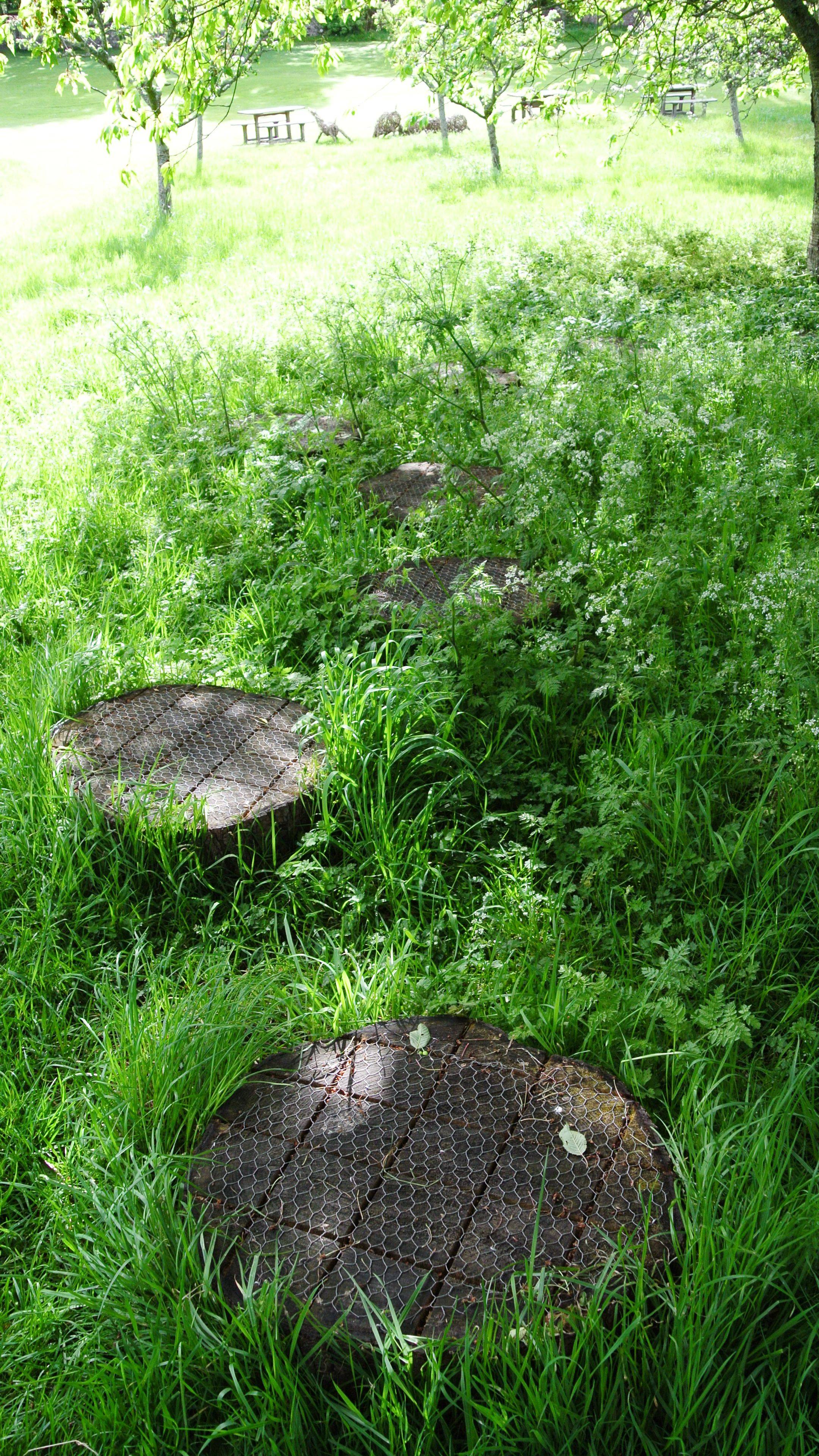 Willow Garden Design Garden Design Ideas