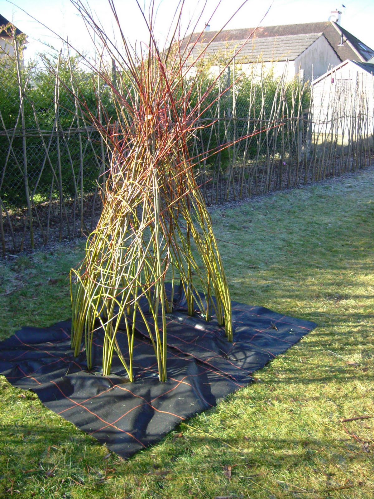 Willow Garden Design Garden Design Ideas