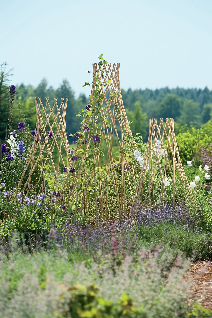 Willow Obelisk Planter Diy Garden Trellis