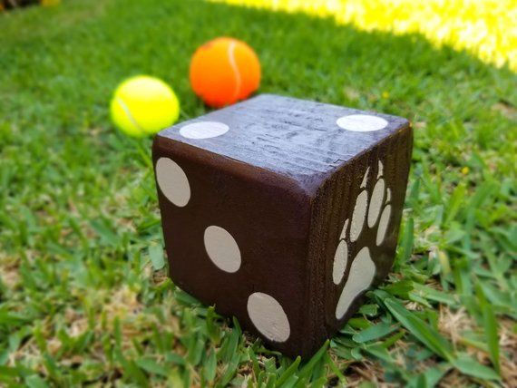 Paw Patrol Party Game