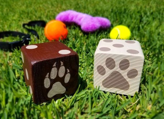 Skye Chase Surprise Toys