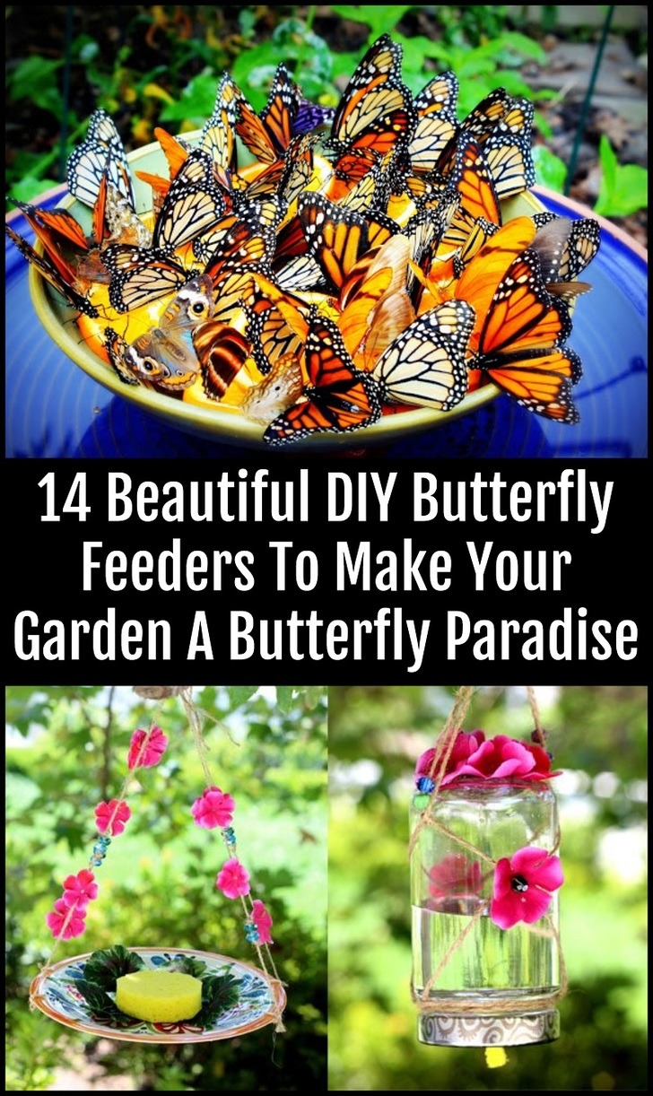 Butterfly First Birthday Party Games