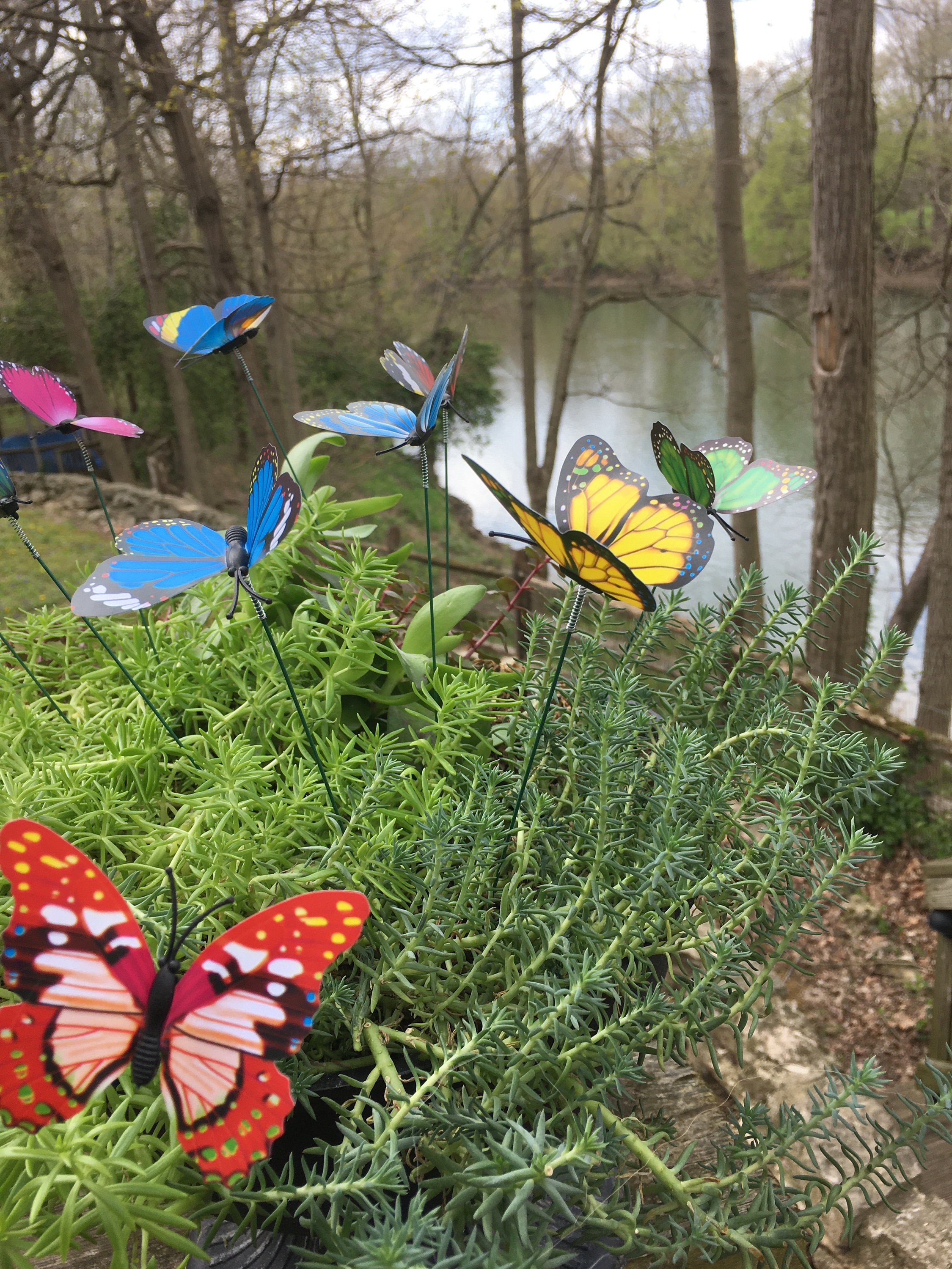Butterfly Garden Theme Party
