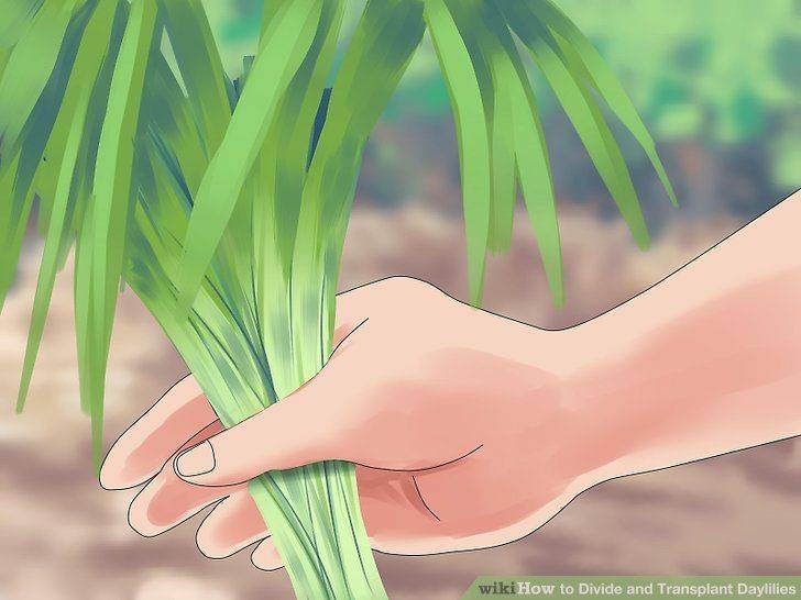 Nathaniel Greene Park