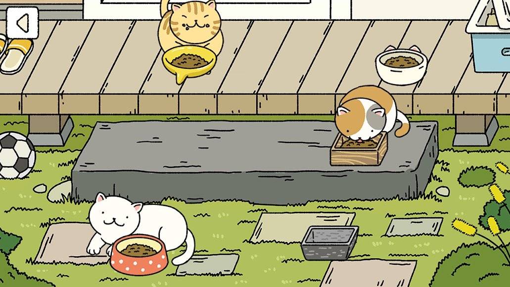 Adorable Home Beginners Guide