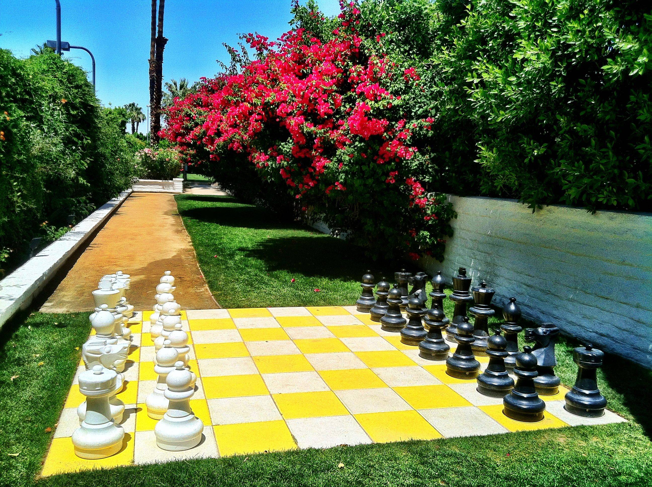 Finally Finished Garden Chess Board