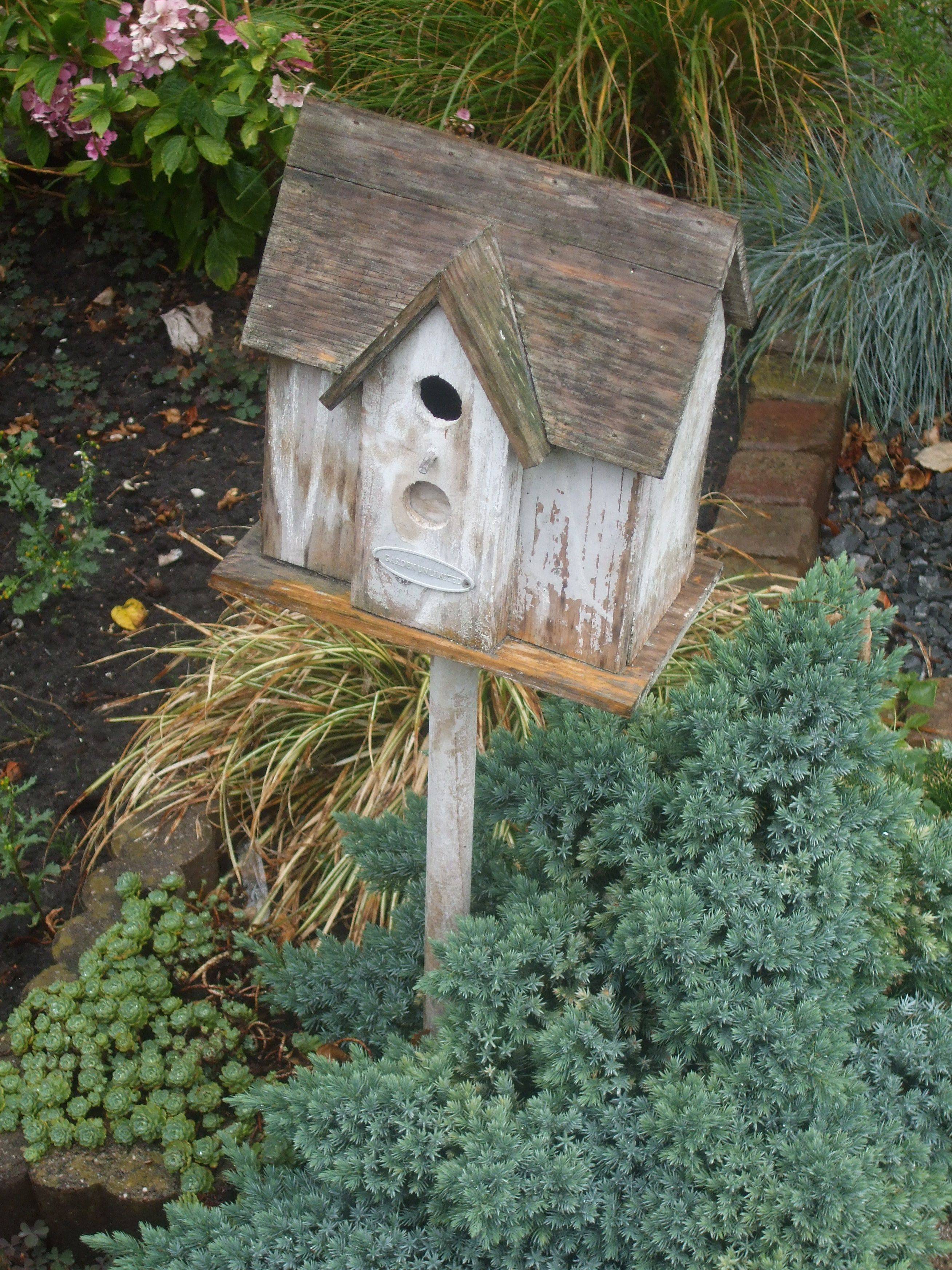 Most Unique Wooden Bird Houses Design Ideas You Must Have In Your