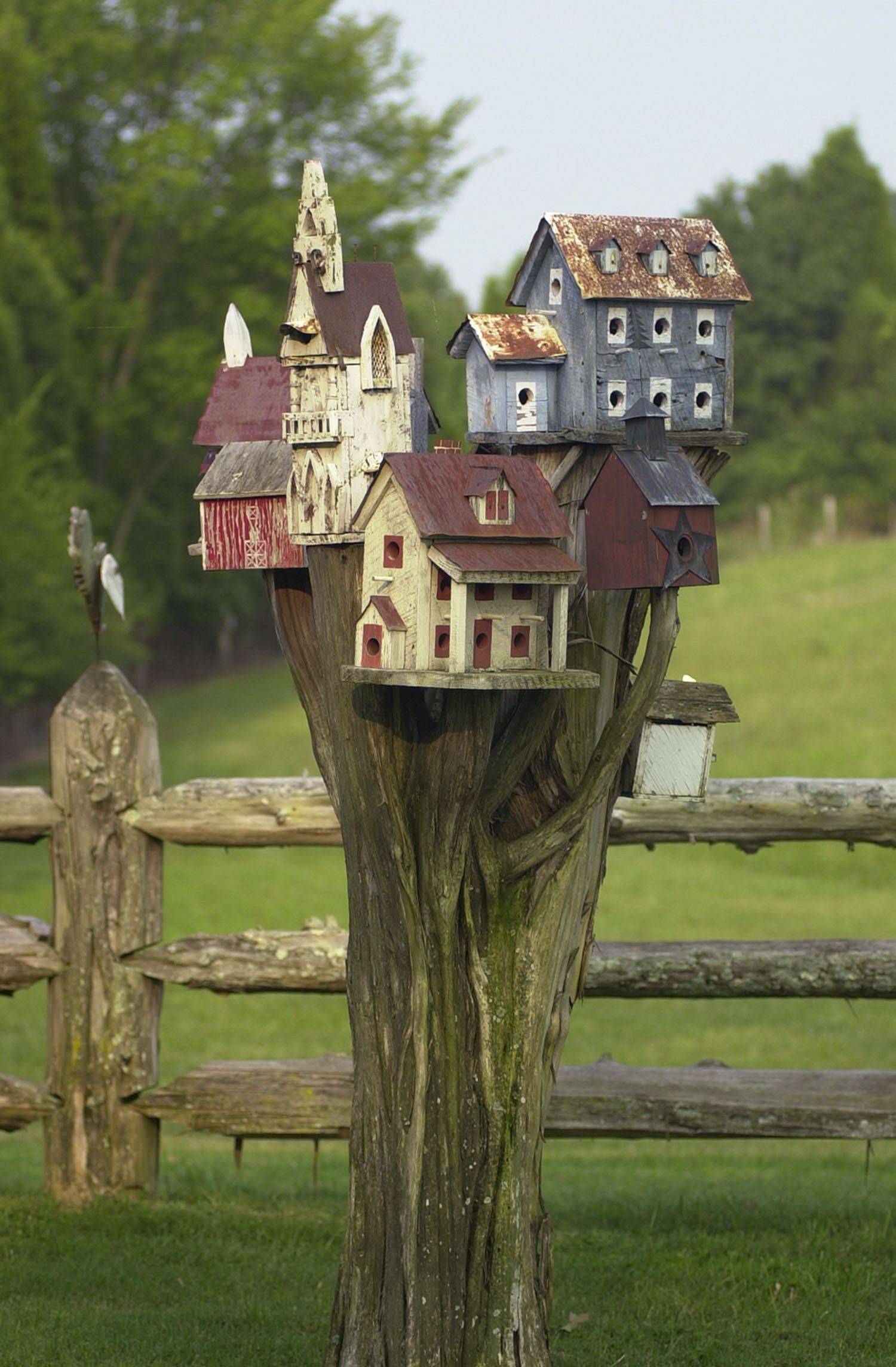 Magnificient Stand Bird House Ideas