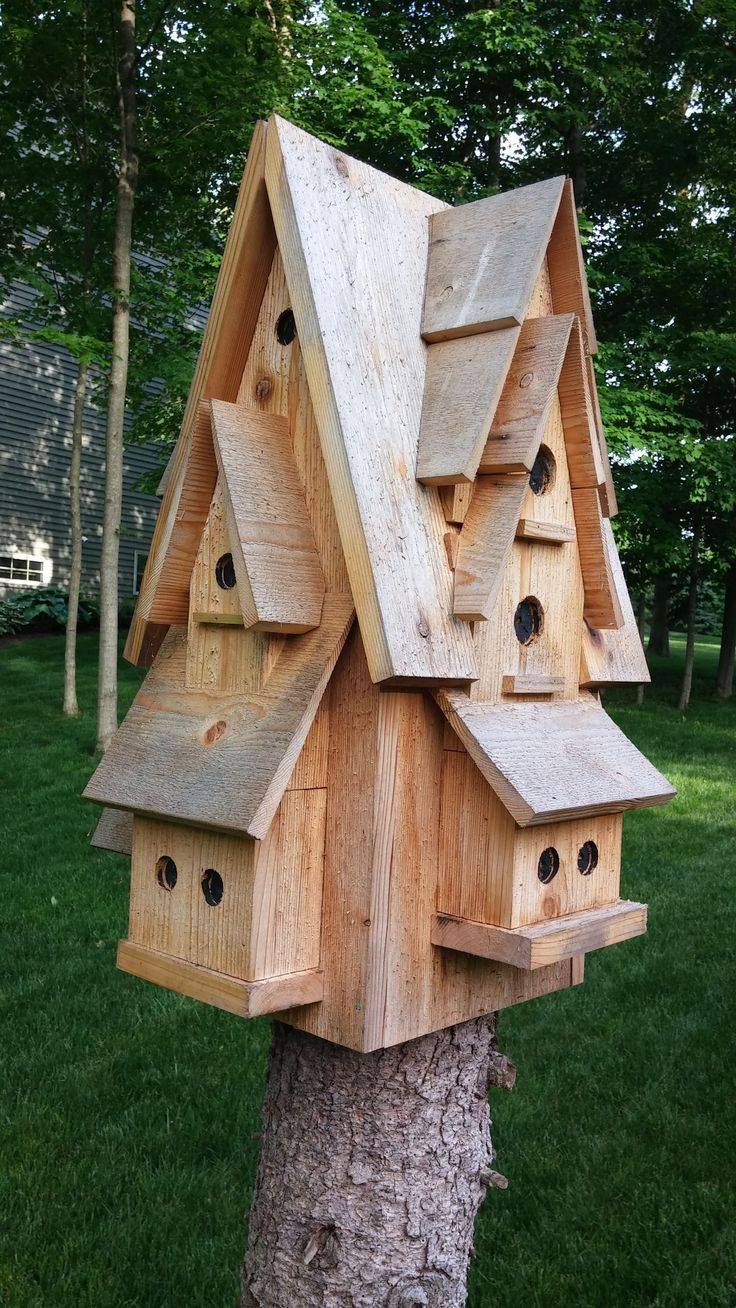 Cool Birdhouse Design Ideas