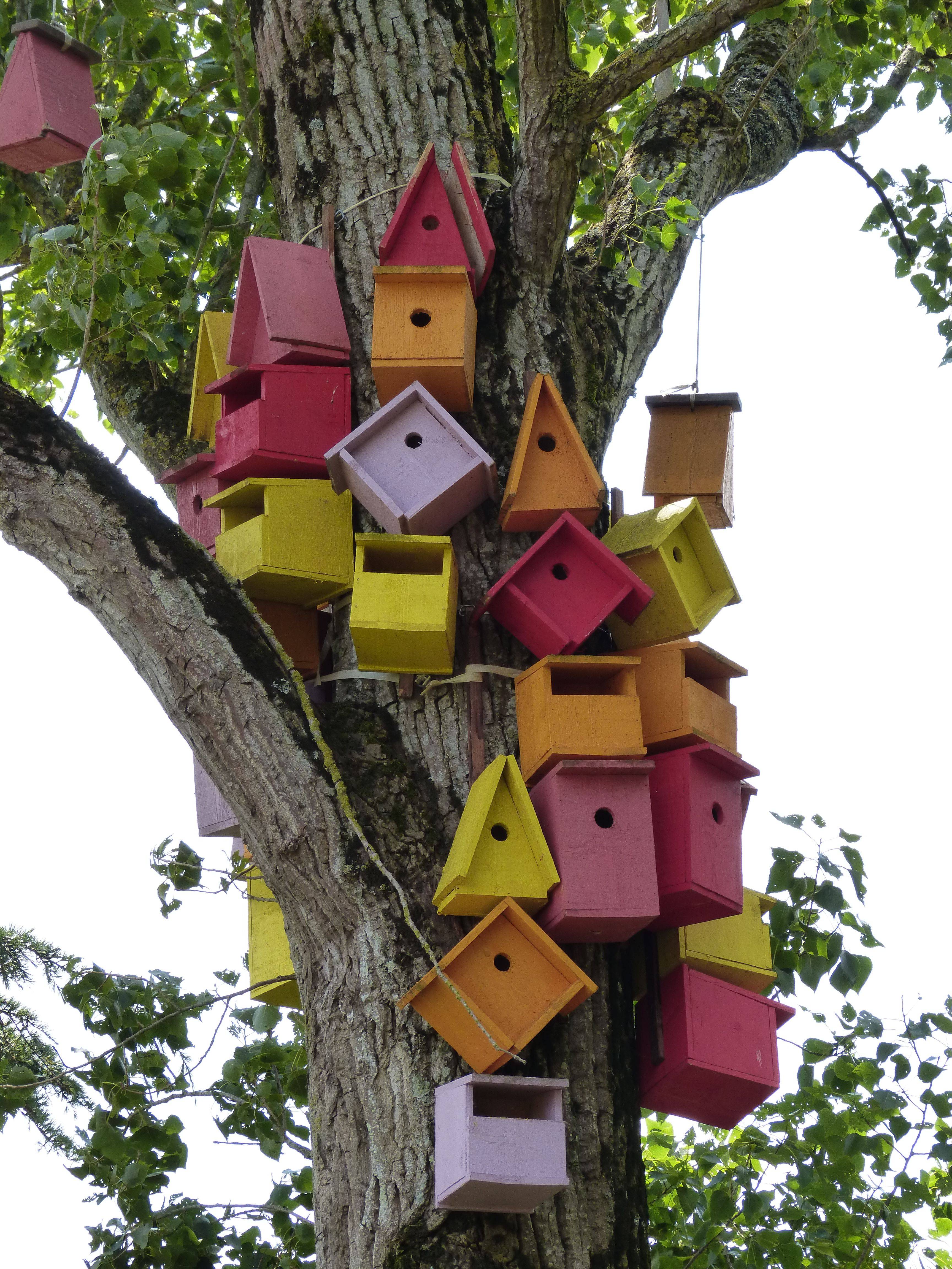 How Decorative Bird Houses