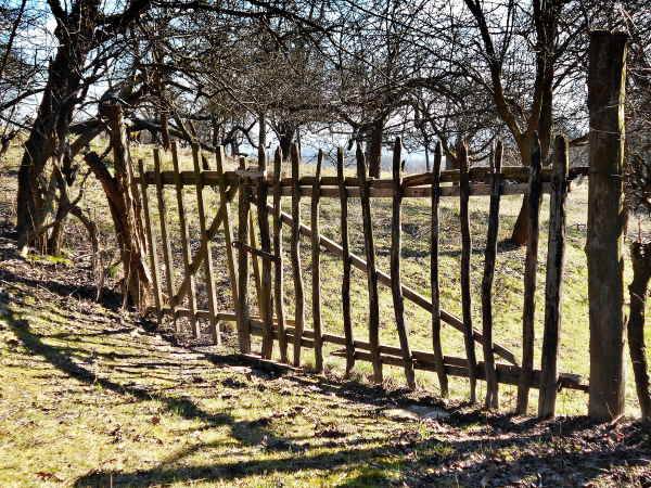 Rustic Branch Fence Stock Photos Freeimagescom