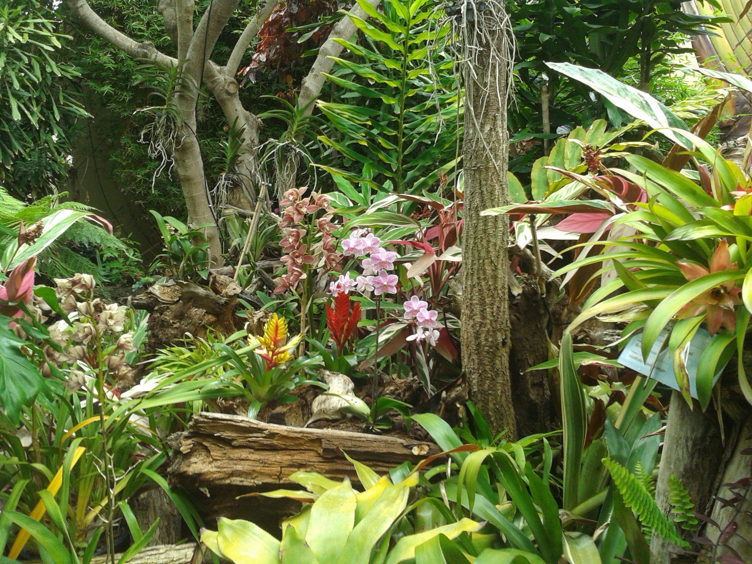 Houston Wedding Venues Lakeside View