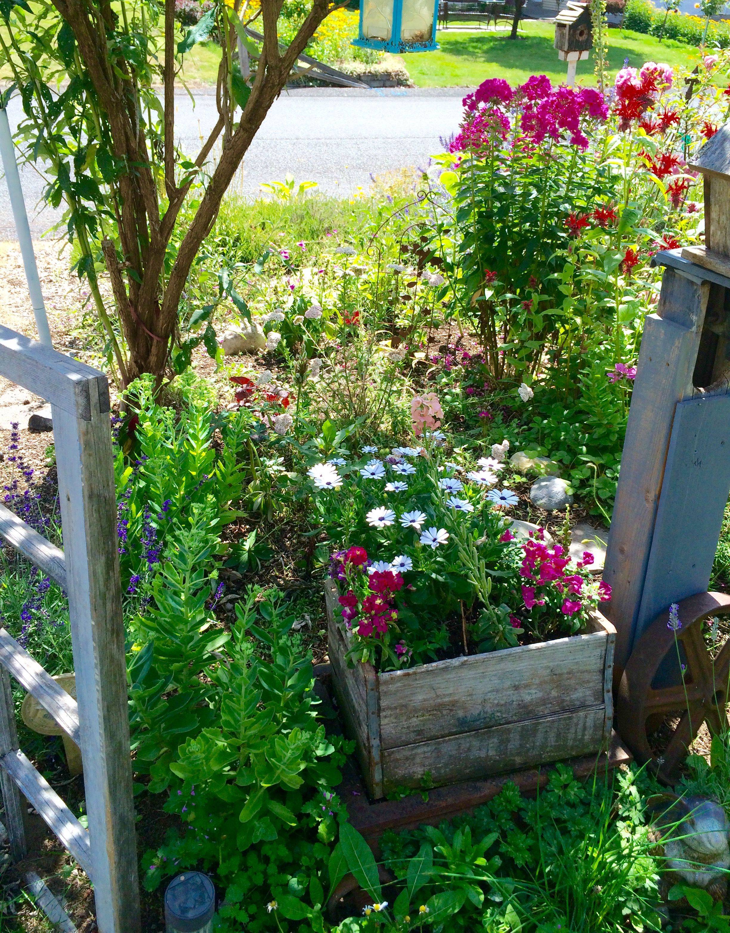 Sweet Cottage Entry Garden Archway