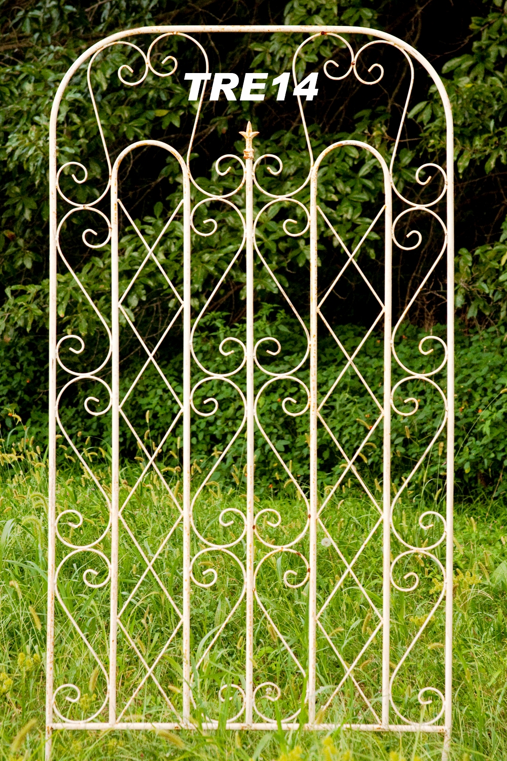 Black Metal Trellis Ideas