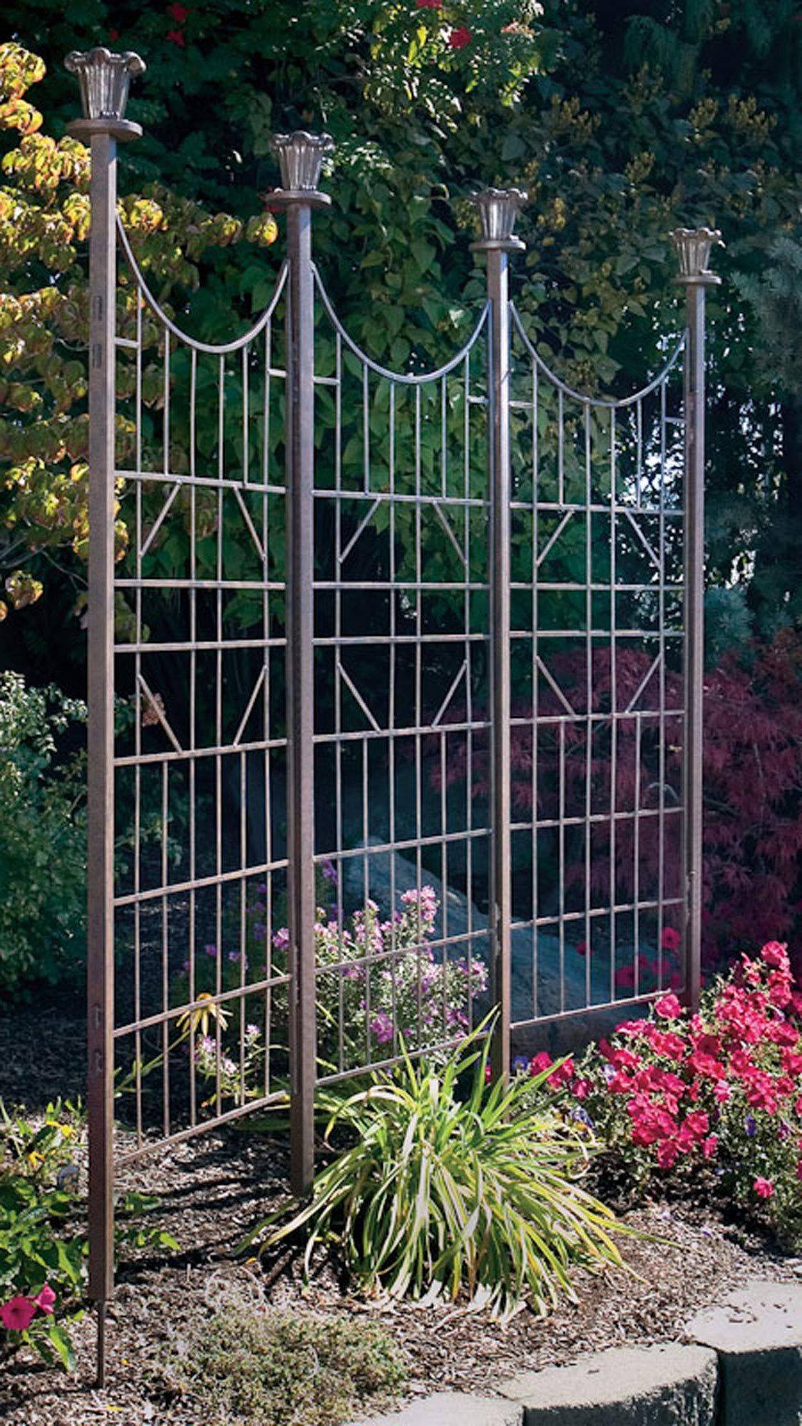 Creative Trellis Ideas